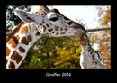 Giraffen Fotokalender 2026 - Hauptbild