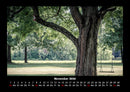 Bäume Fotokalender 2026 - 11