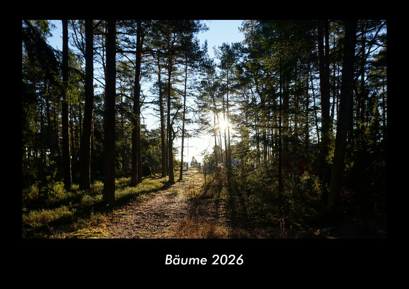 Bäume Fotokalender 2026 - Hauptbild