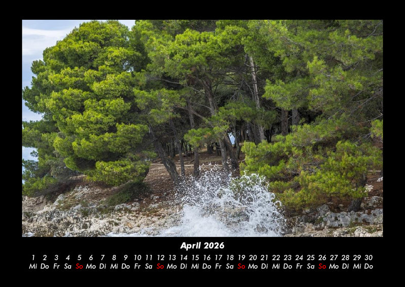 Bäume Fotokalender 2026 - 4