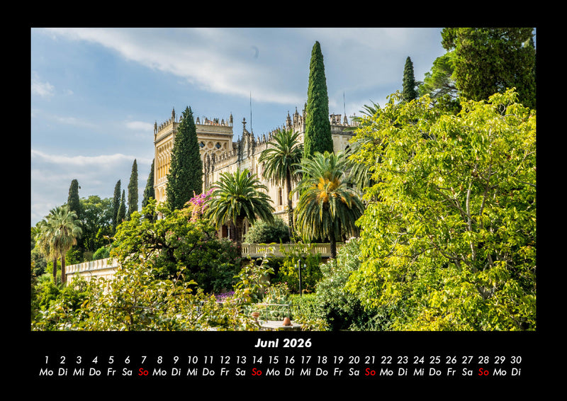 Bäume Fotokalender 2026 - 6