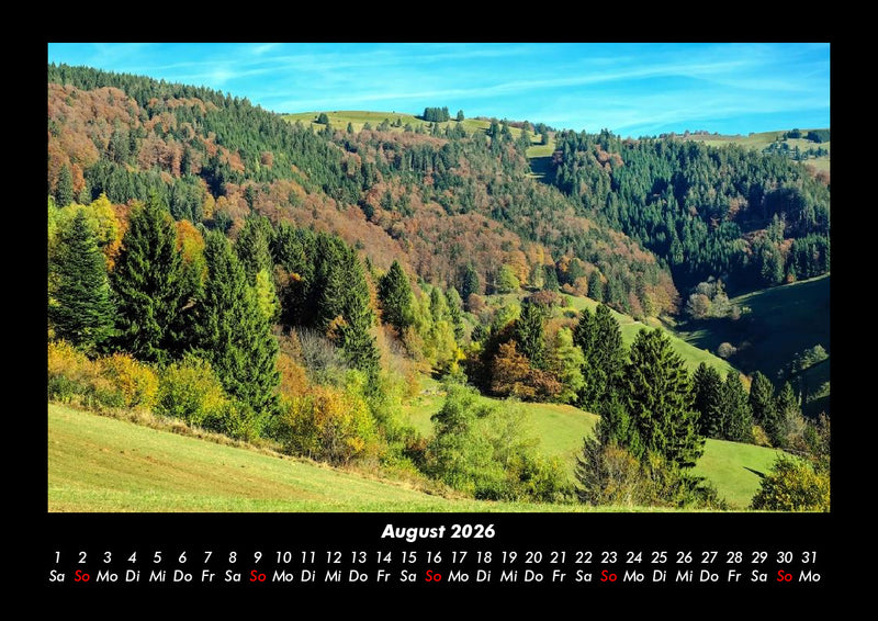 Bäume Fotokalender 2026 - 8
