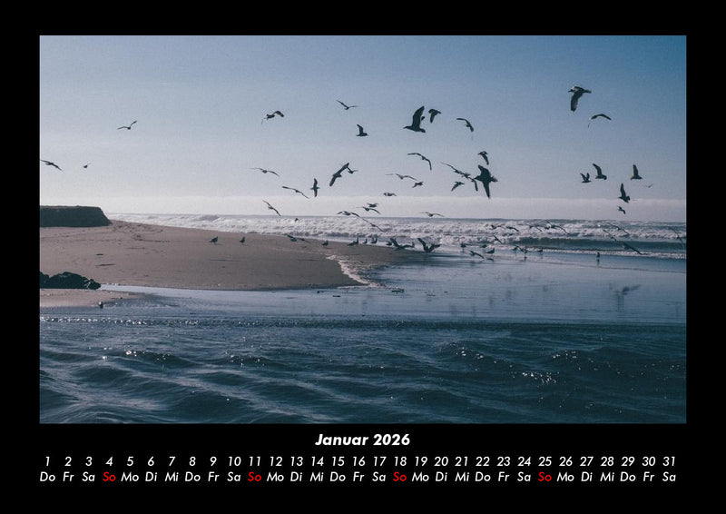 Möwen Fotokalender 2026 - 1