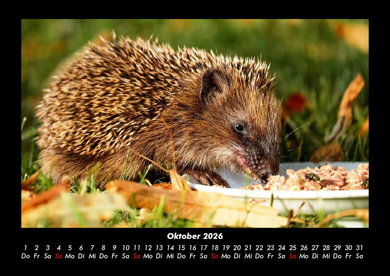 Tierkalender Fotokalender 2026 - 10