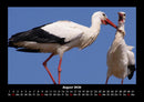 Tierkalender Fotokalender 2026 - 8