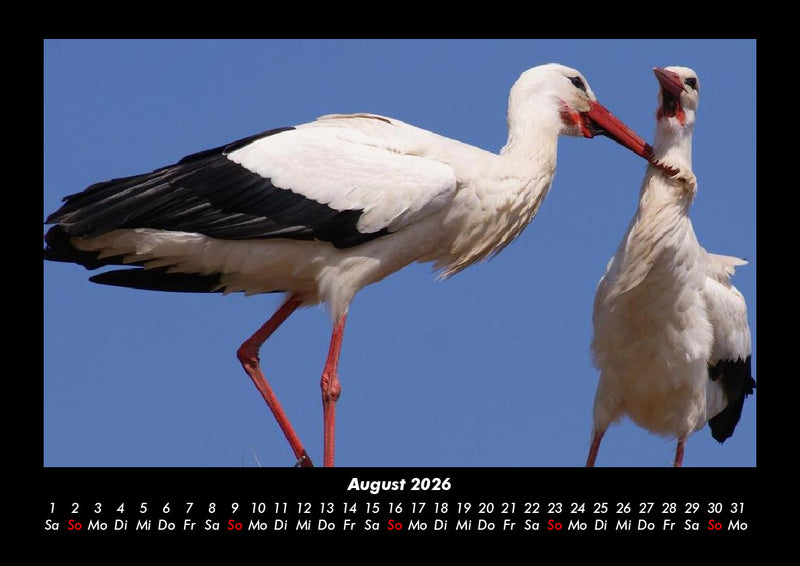Tierkalender Fotokalender 2026 - 8