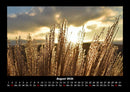 Bilder der Natur Fotokalender 2026 - 8