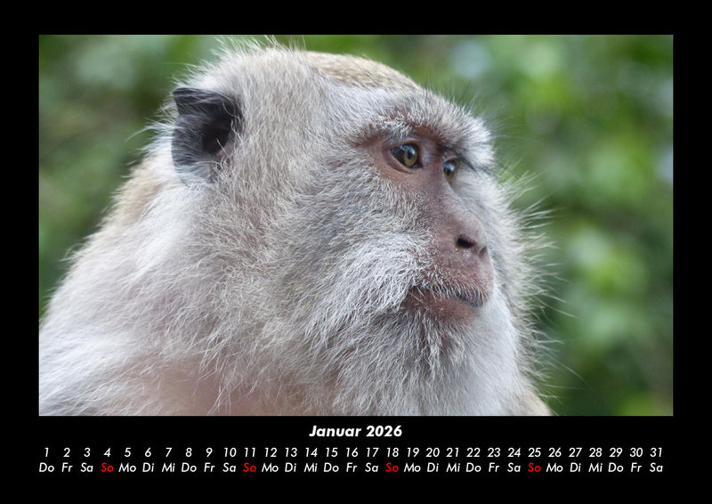 Bali Fotokalender 2026 - 1