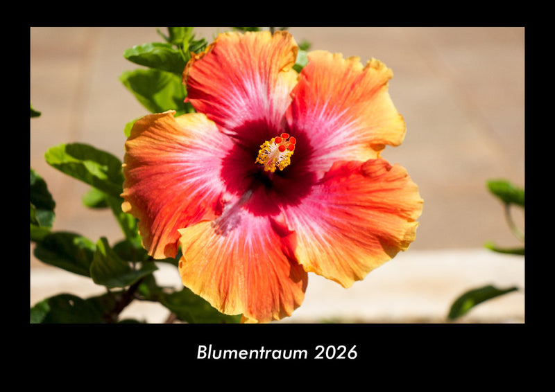 Blumentraum Fotokalender 2026 - Hauptbild
