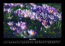 Blumentraum Fotokalender 2026 - 5
