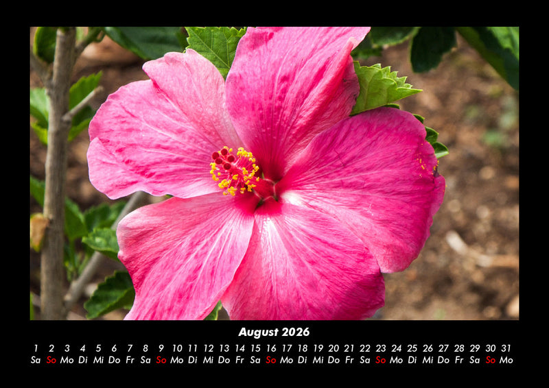 Blumentraum Fotokalender 2026 - 8