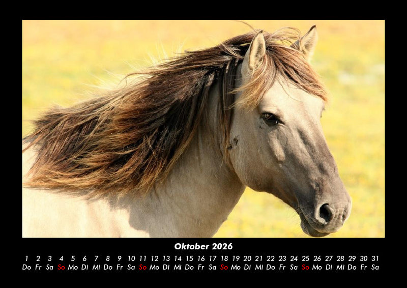 Pferdetraum Fotokalender 2026 - 10