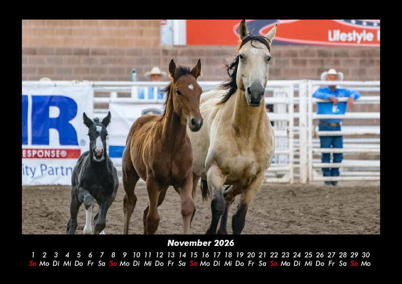 Pferdetraum Fotokalender 2026 - 11