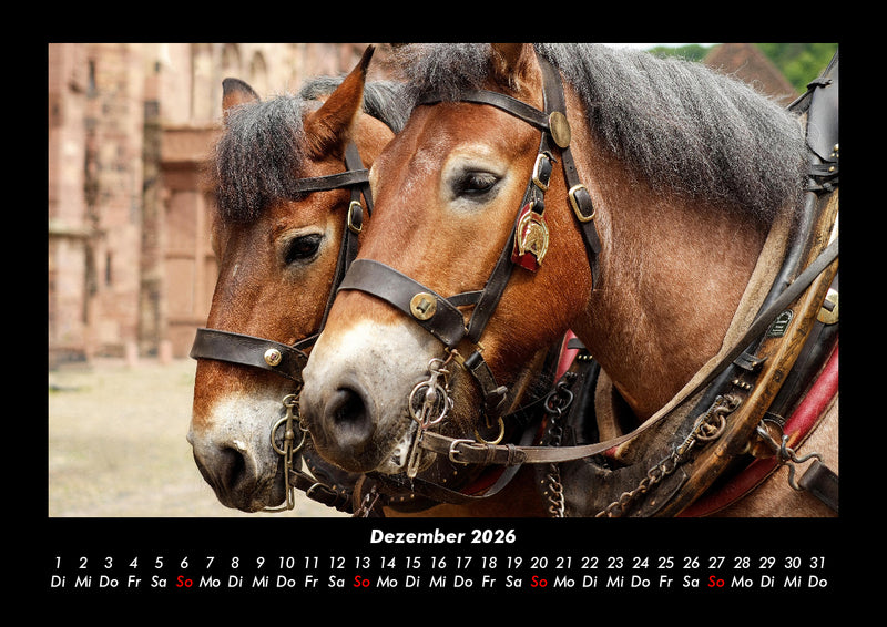 Pferdetraum Fotokalender 2026 - 12
