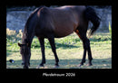 Pferdetraum Fotokalender 2026 - Hauptbild