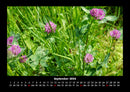 Bilder der Natur Fotokalender 2026 - 9
