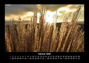 Bilder der Natur Fotokalender 2026 - 2