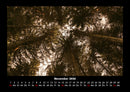 Bilder der Natur Fotokalender 2026 - 11