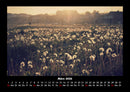 Bilder der Natur Fotokalender 2026 - 3
