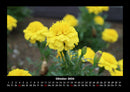Pflanzen und Blüten Fotokalender 2026 - 10