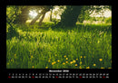 Pflanzen und Blüten Fotokalender 2026 - 11