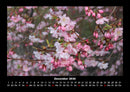Pflanzen und Blüten Fotokalender 2026 - 12