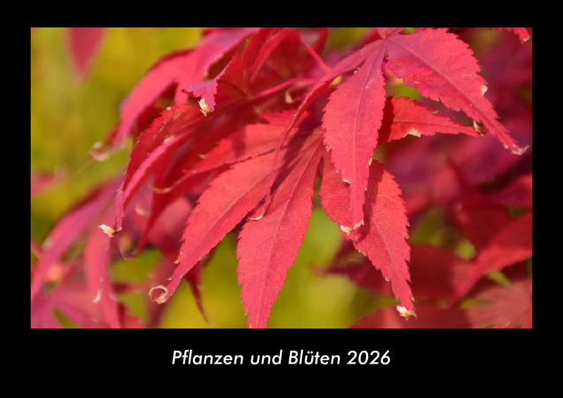 Pflanzen und Blüten Fotokalender 2026 - Hauptbild
