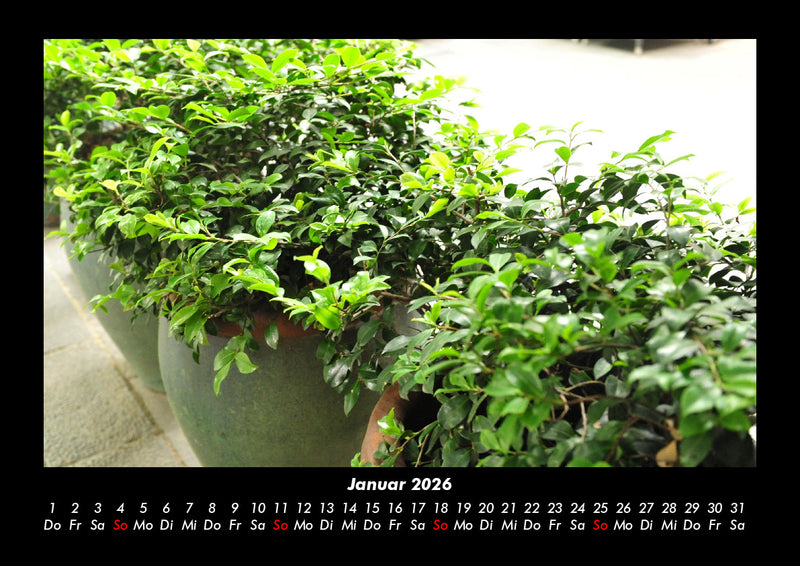 Pflanzen und Blüten Fotokalender 2026 - 1