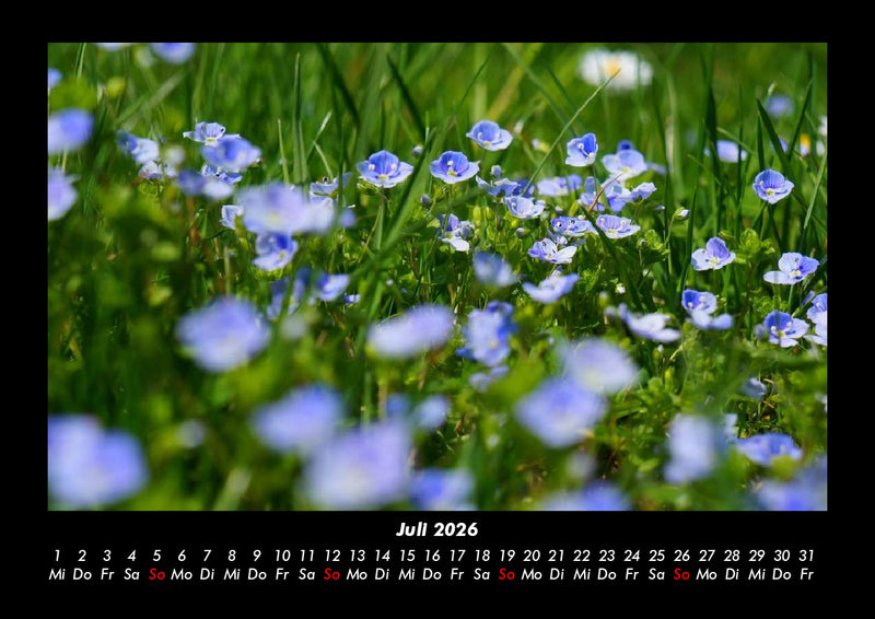 Pflanzen und Blüten Fotokalender 2026 - 7