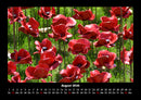 Pflanzen und Blüten Fotokalender 2026 - 8