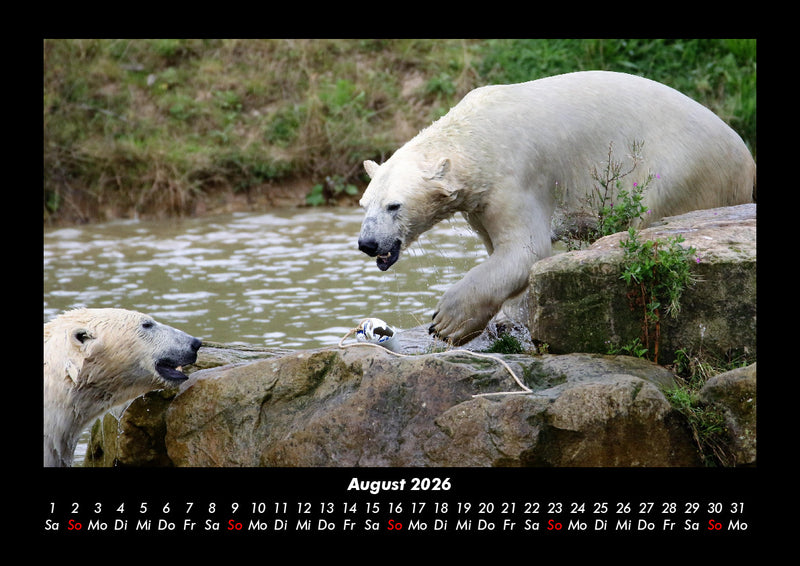 Der Tierkalender Fotokalender 2026 - 8