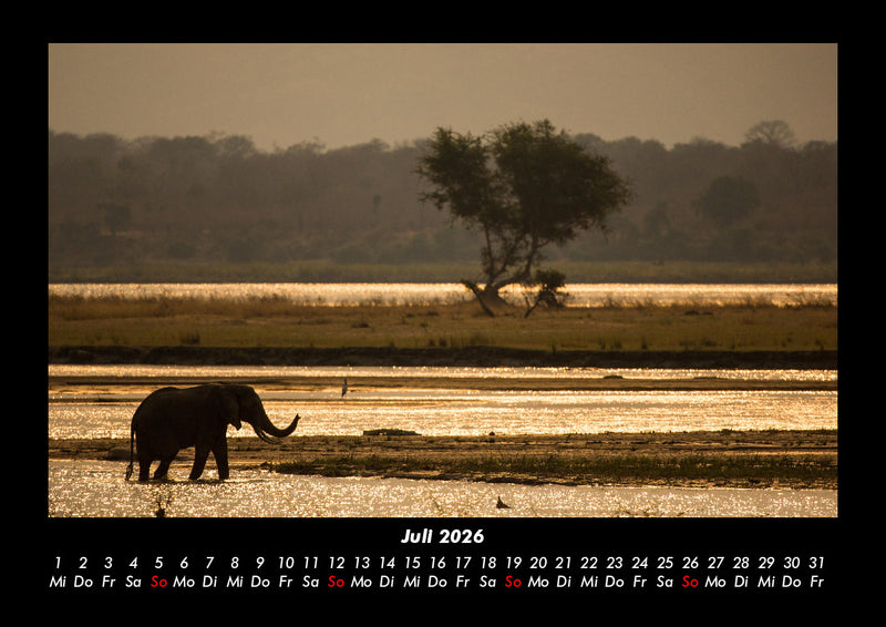 Der Elefantenkalender Fotokalender 2026 - 7