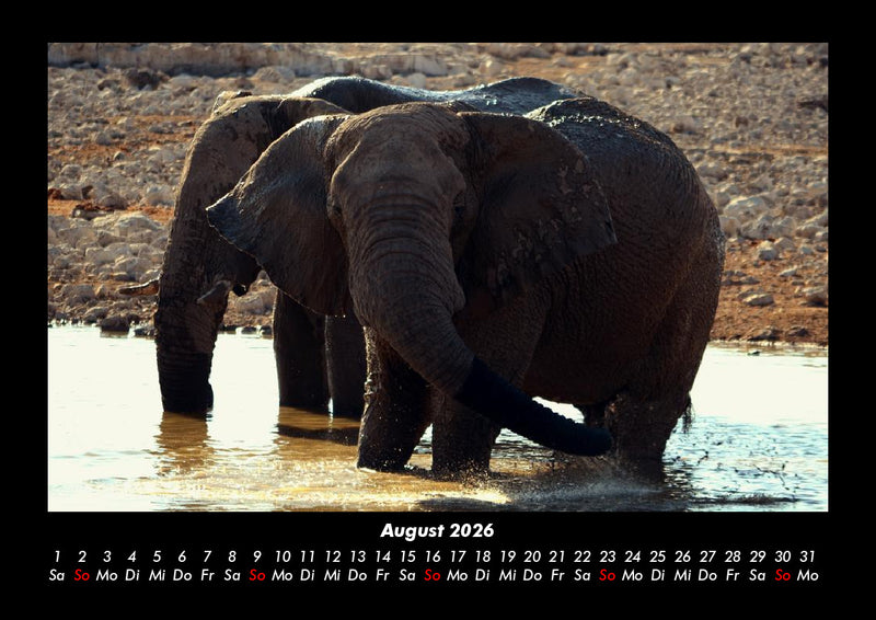 Der Elefantenkalender Fotokalender 2026 - 8