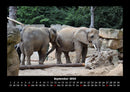 Der Elefantenkalender Fotokalender 2026 - 9