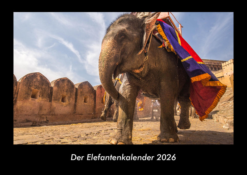 Der Elefantenkalender Fotokalender 2026 - Hauptbild