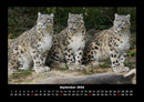 Tiere in der Wildnis Fotokalender 2026 - 9