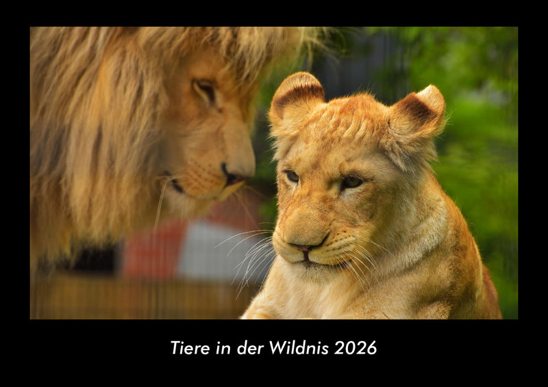 Tiere in der Wildnis Fotokalender 2026 - Hauptbild