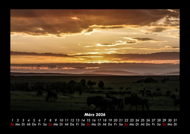 Tiere in der Wildnis Fotokalender 2026 - 3