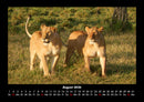 Tiere in der Wildnis Fotokalender 2026 - 8