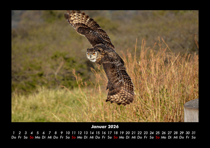 Welt der Vögel Fotokalender 2026 - 1