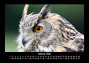 Welt der Vögel Fotokalender 2026 - 2