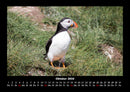 Welt der Vögel Fotokalender 2026 - 10