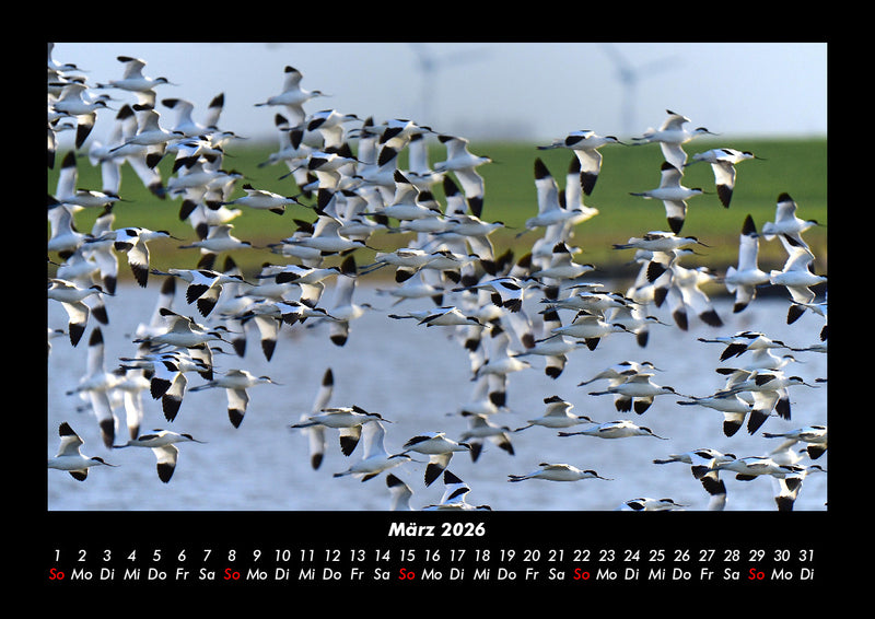 Die Seen der Erde Fotokalender 2026 - 3