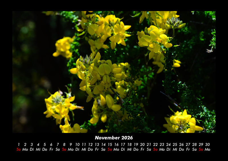 Blumenkalender Fotokalender 2026 - 11