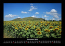Blumenkalender Fotokalender 2026 - 12