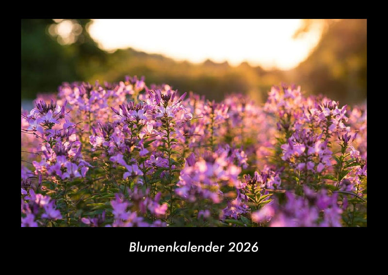Blumenkalender Fotokalender 2026 - Hauptbild