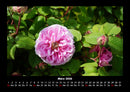 Blumenkalender Fotokalender 2026 - 3