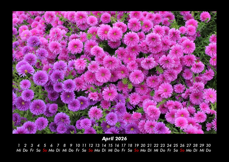 Blumenkalender Fotokalender 2026 - 4
