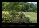 Blumenkalender Fotokalender 2026 - 7