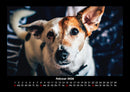 Hundezauber Fotokalender 2026 - 2